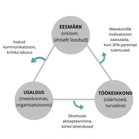 meeskondade-arengu-toetamine